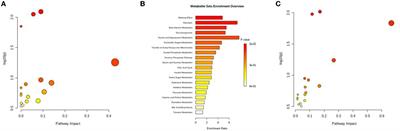 High-fiber-diet-related metabolites improve neurodegenerative symptoms in patients with obesity with diabetes mellitus by modulating the hippocampal–hypothalamic endocrine axis